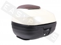 Top Case Kit 36L Piaggio X10 125-350 White Perla 566