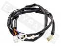 Kabel Adapter CDI-Zündeinheit POLINI ECU X-City/ X-Max 125i 4T 4V E3 2010-'