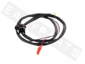 Kabel Adapter CDI-Zündeinheit POLINI ECU Piaggio 125-150 3V/ 300-350 I.E 