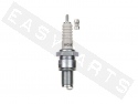 Spark Plug NGK B10ES Standard (long reach)