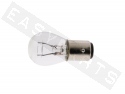 Light Bulb BAY15D 6V/21-5W White