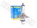Light Bulb Halogen BOSMA H4 PX43T 12V/35-35W White