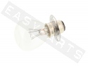 Light Bulb BOSMA P15D 12V/25-25W White