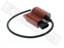 Ignition Coil with CDI (fast) TOP PERF. Variable Piaggio 50 4T 2V