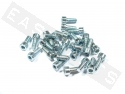 Bullone CHC M5x10 acciaio zincato (25 pezzi)
