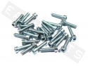 Bullone CHC M5x20 acciaio zincato (25 pezzi)