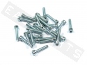 Bullone CHC M5x25 acciaio zincato (25 pezzi)