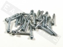 Bullone CHC M5x35 acciaio zincato (25 pezzi)