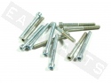 Bullone CHC M5x40 acciaio zincato (12 pezzi)