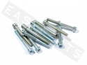 Bullone CHC M5x45 acciaio zincato (25 pezzi)