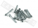 Bullone CHC M6x45 acciaio zincato (12 pezzi)