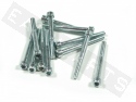 Innensechskantschrauben ISO 4762 M6x60 Stahl verzinkt (12 Stk.)