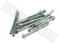 Innensechskantschrauben ISO 4762 M6x80 Stahl verzinkt (12 Stk.)