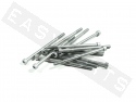Innensechskantschrauben ISO 4762 M6x100 Stahl verzinkt (12 Stk.)