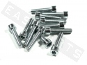 Innensechskantschrauben ISO 4762 M8x35 Stahl verzinkt (12 Stk.)