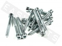 Bullone CHC M8x50 acciaio zincato (12 pezzi)