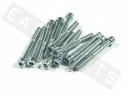 Innensechskantschrauben ISO 4762 M8x60 Stahl verzinkt (12 Stk.)
