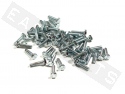 Bullone esagonale M4x20 acciaio zincato (50 pezzi)