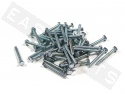 Bullone esagonale M4x35 acciaio zincato (50 pezzi)