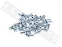 Bullone esagonale M5x12 acciaio zincato (50 pezzi)