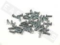Bullone esagonale M5x16 acciaio zincato (50 pezzi)