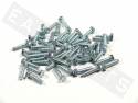 Bullone esagonale M5x20 acciaio zincato (50 pezzi)