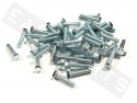 Bullone esagonale M5x25 acciaio zincato (50 pezzi)