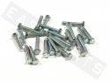 Bullone esagonale M5x30 acciaio zincato (50 pezzi)