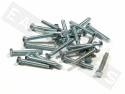 Bullone esagonale M5x35 acciaio zincato (25 pezzi)