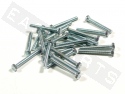 Bullone esagonale M5x40 acciaio zincato (25 pezzi)