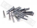 Bullone esagonale M5x45 acciaio zincato (25 pezzi)