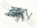Bullone esagonale M5x50 acciaio zincato (25 pezzi)