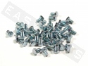 Bullone esagonale M6x10 acciaio zincato (50 pezzi)
