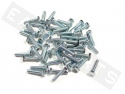 Bullone esagonale M6x25 acciaio zincato (50 pezzi)