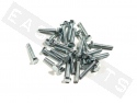 Bullone esagonale M6x30 acciaio zincato (25 pezzi)