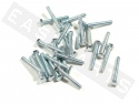 Bullone esagonale M6x40 acciaio zincato (25 pezzi)