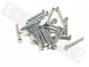 Bullone esagonale M6x45 acciaio zincato (25 pezzi)