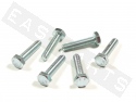 Bullone esagonale M10x45 acciaio zincato (6 pezzi)