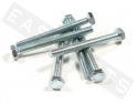 Bullone esagonale M10x100 acciaio zincato (6 pezzi)