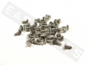 Vis hexagonale DIN 933 M6x12 acier inoxidable (par 50)