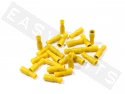 Cosse isolée ronde femelle Ø4mm jaune Ø2,5-6mm² (par 25)
