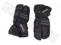Gloves VINCIDA Black Two Fingers