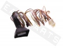 Kabel Adapter Alarmanlage GEMINI KITCA1077N17