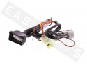 Kabel Adapter Alarmanlage GEMINI KITCA1081